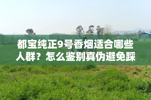 都宝纯正9号香烟适合哪些人群？怎么鉴别真伪避免踩坑？